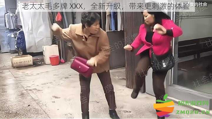 升级版老太太毛多牌XXX，精彩体验焕新升级，带你感受前所未有的刺激乐趣