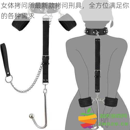 女体拷问所最新款拷问刑具，全方位满足你的各种需求