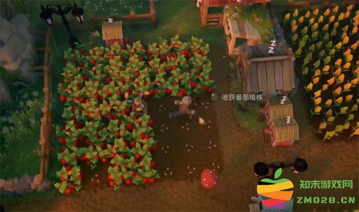 《露玛岛 Luma Island》最优先推荐种植的十种农作物及其培育技巧